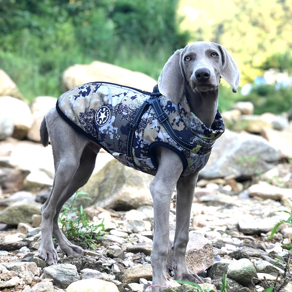 KFX-2648125 Waterproof Reflective Forest Green Cotton-Padded Jacket for Large Dogs