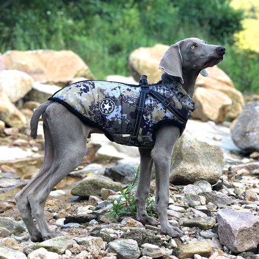 KFX-2648125 Waterproof Reflective Forest Green Cotton-Padded Jacket for Large Dogs