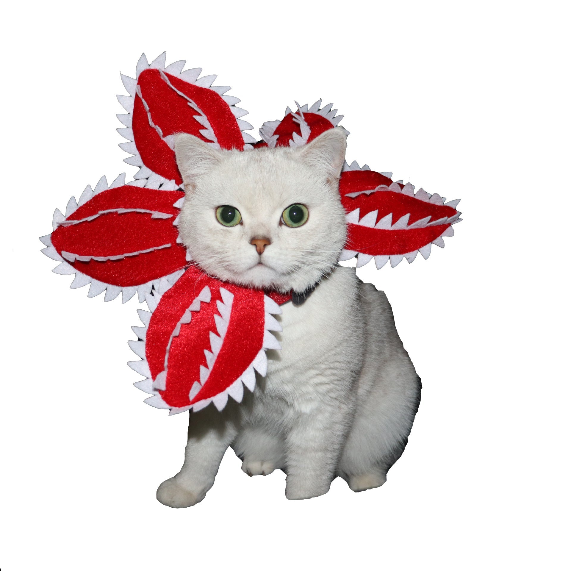 KFX-2648509 Cannibal Flower Fun Polyester Headgear for Cats in Multiple Sizes