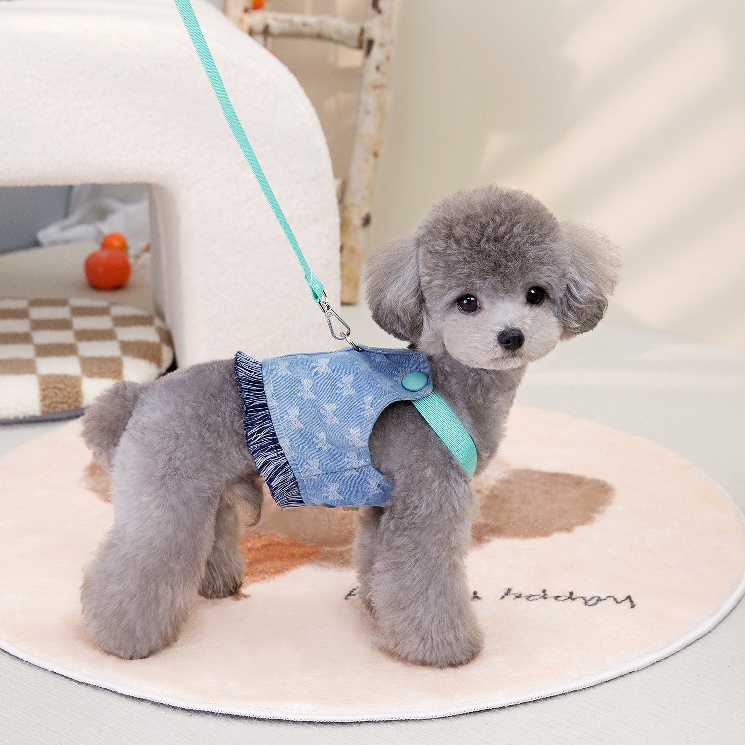 KFX-2649277 Light Blue and Dark Orange Denim Dog Vest for Spring and Summer, Cotton Casual Pet Clothing in Multiple Sizes
