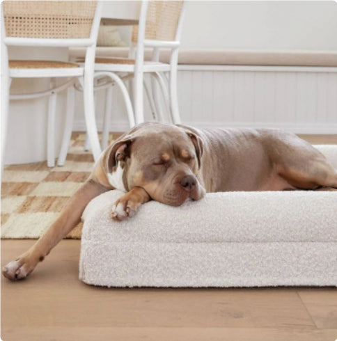 KFX-2653501 Rectangular Thickened Mattress Pet Sofa Bed for Dogs - Multiple Sizes Available