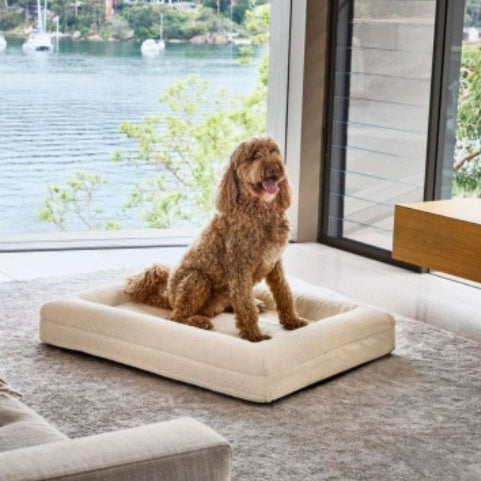 KFX-2653501 Rectangular Thickened Mattress Pet Sofa Bed for Dogs - Multiple Sizes Available