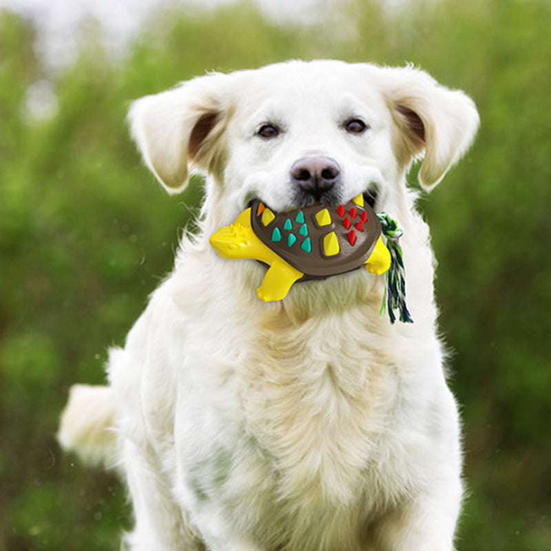 KFX-2656701 Natural Rubber Dog Toothbrush Chew Toy for Dental Care and Interactive Play