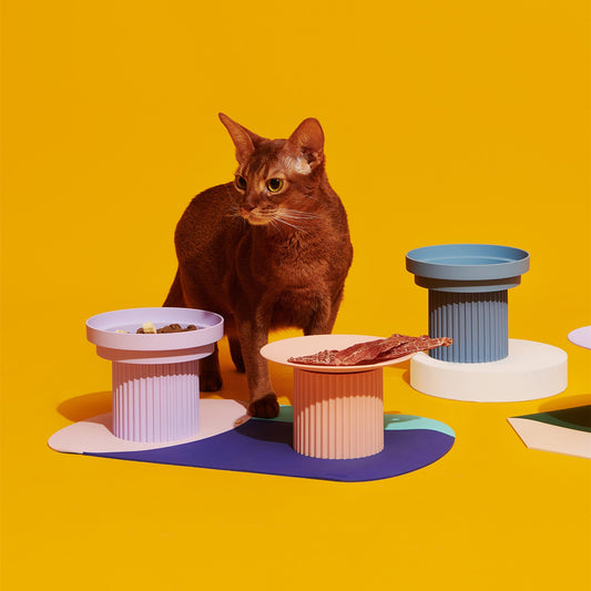 KFX-2661181 Cervical Vertebra High Foot Bowl for Cats - Anti-Overturning Design in Various Colors