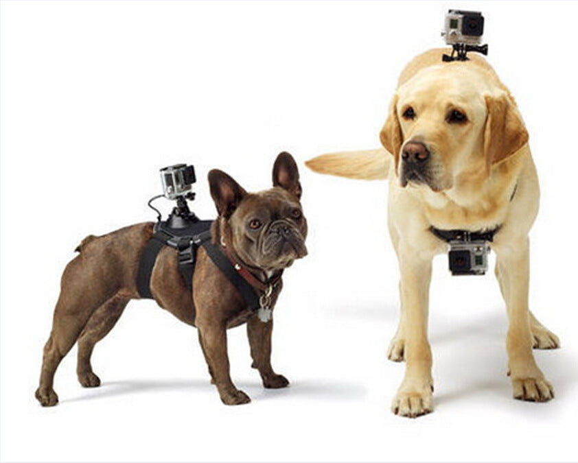 KFX-2664253 Dog Chest Strap Harness for GoPro - Adjustable, Comfortable, Removable for Small Dogs, Water Washable Material