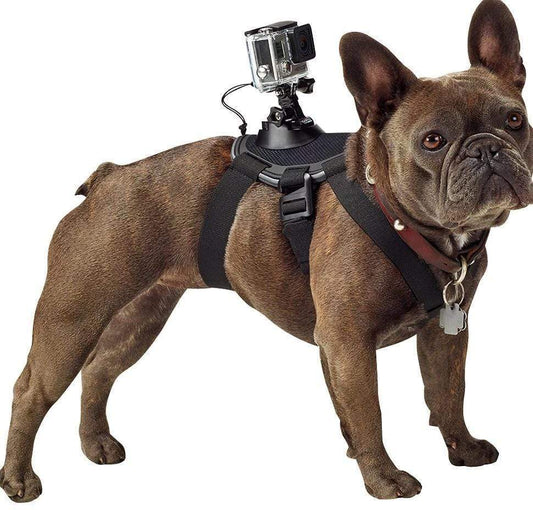 KFX-2664253 Dog Chest Strap Harness for GoPro - Adjustable, Comfortable, Removable for Small Dogs, Water Washable Material