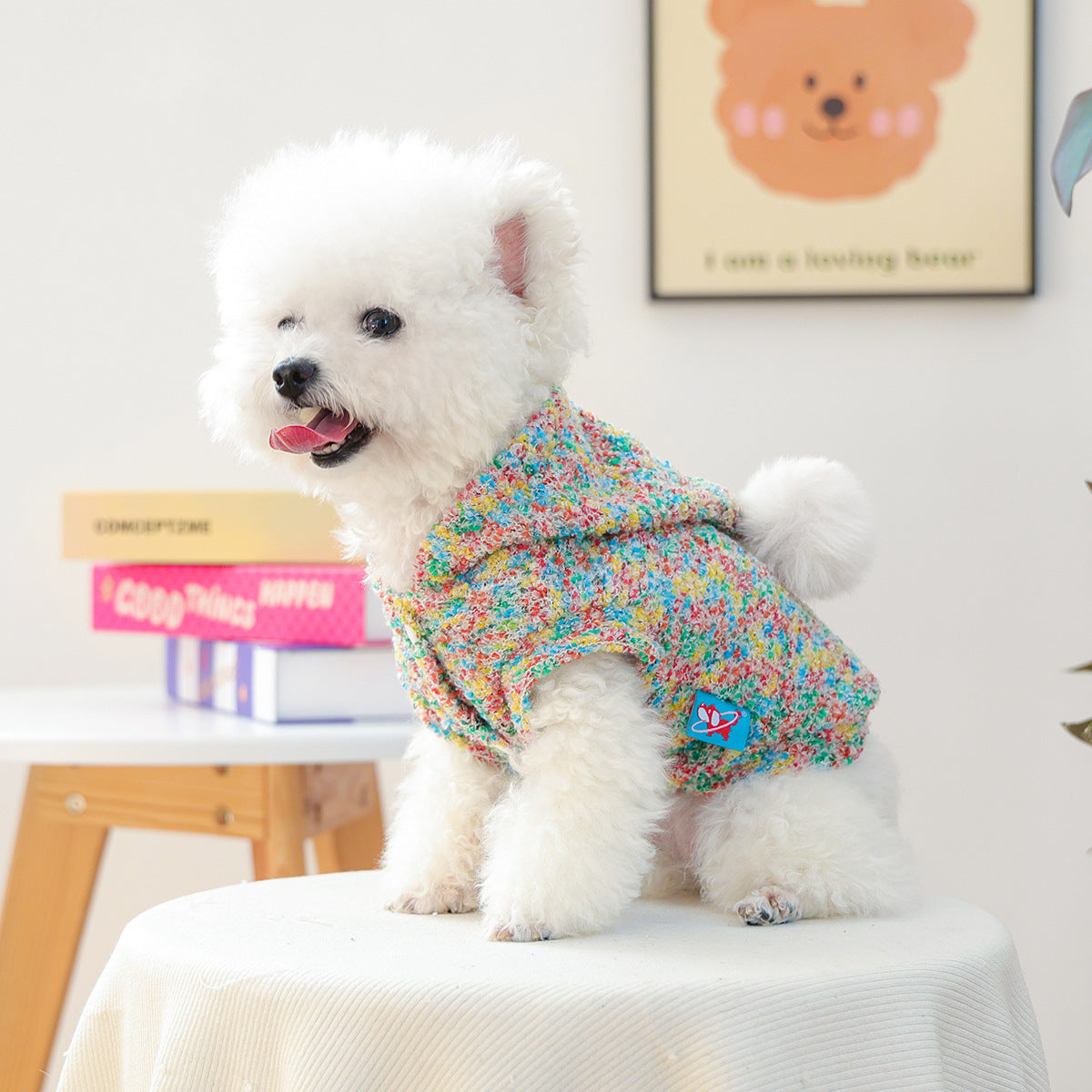 KFX-2668733 Colorful Candy Hoodie for Dogs and Cats, Unisex Pet Sweater in Polyester