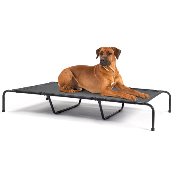 KFX-2669373 Elevated Dog Bed with Textilene Mesh and Powder-Coated Steel, Ideal for Indoor and Outdoor Use