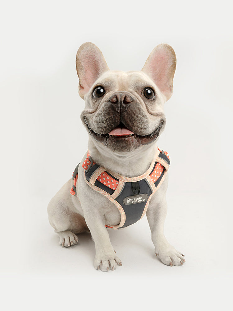 KFX-2675773 Adjustable Dog Vest with Drawstring for Chest and Back Support