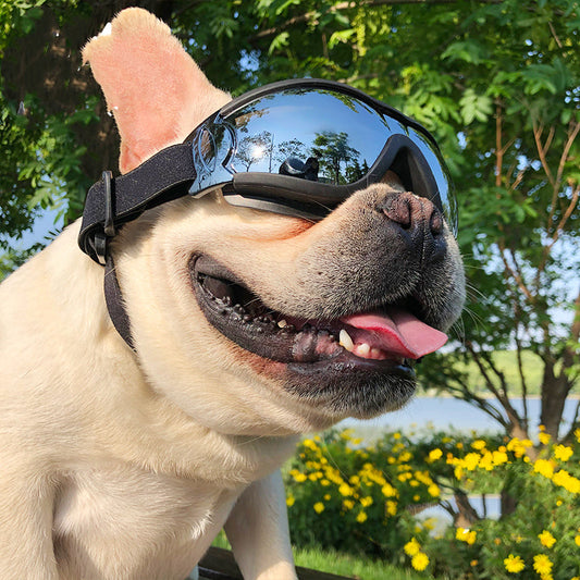 KFX-2683837 Stylish Pet Goggles for Dogs - Windproof Sunglasses in Various Sizes and Colors