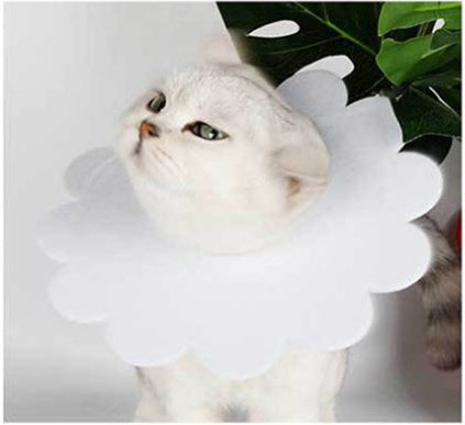 KFX-2684221 Felt Cloth Cat Licking and Biting Sunflower Elizabethan Collar for Dogs - XS to XL Sizes Available