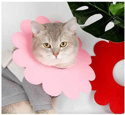 KFX-2684221 Felt Cloth Cat Licking and Biting Sunflower Elizabethan Collar for Dogs - XS to XL Sizes Available