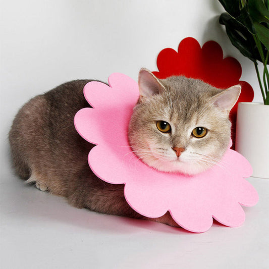 KFX-2684221 Felt Cloth Cat Licking and Biting Sunflower Elizabethan Collar for Dogs - XS to XL Sizes Available