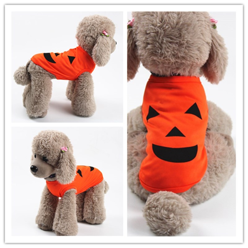 KFX-2686397 Cozy Pumpkin-Themed Costume for Cats and Small to Medium Dogs