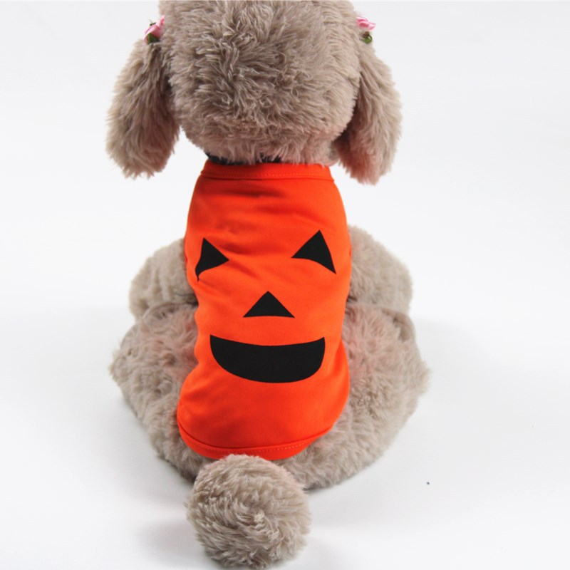 KFX-2686397 Cozy Pumpkin-Themed Costume for Cats and Small to Medium Dogs
