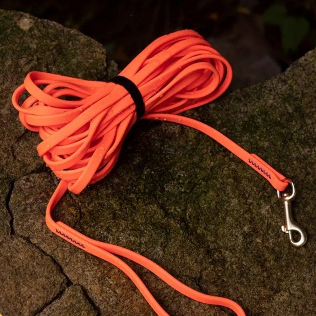 KFX-2687677 Thickened 1cm Pet Training Dog Leash with Flexible Skin Texture - Available in Multiple Colors