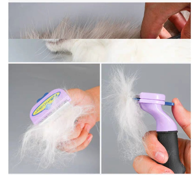 KFX-2687805 Pet Combing Brush for Cats - Detangling and Floating Hair Removal Tool in Multiple Sizes