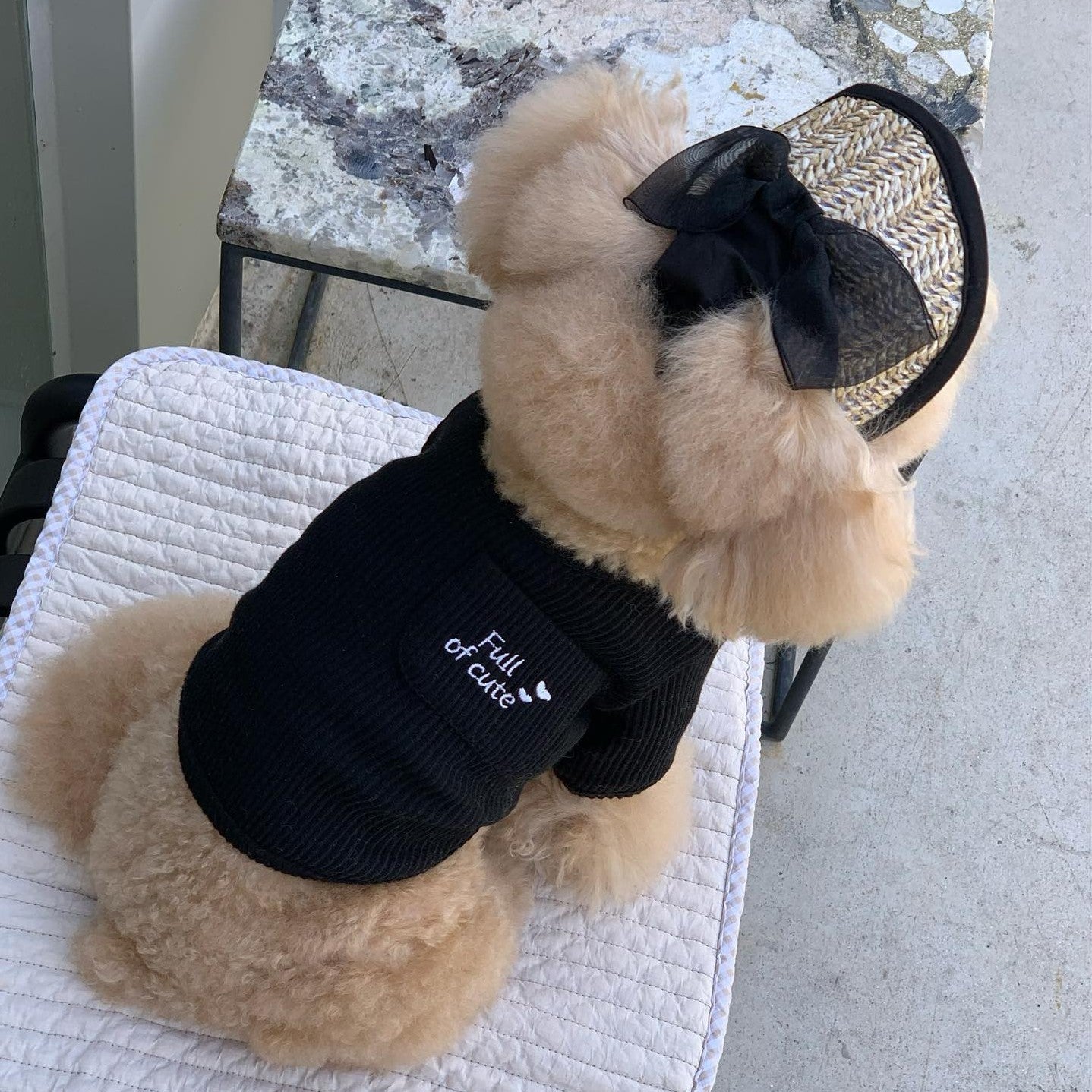 KFX-2688573 Adjustable French Straw Sun Hat for Pets with Elegant Lace and Flower Designs
