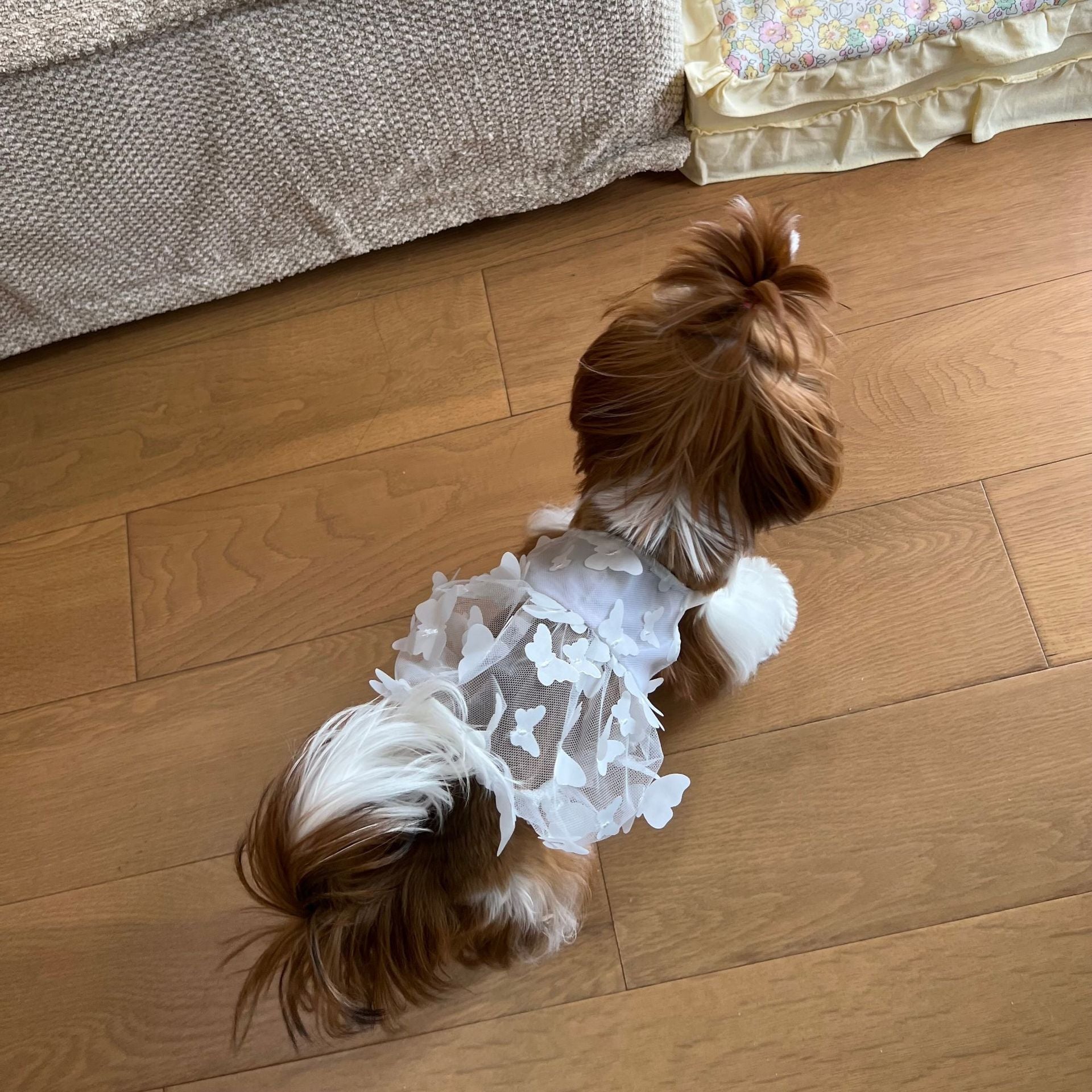 KFX-2696125 Breathable Anti-Shedding Satin Skirt for Dogs - Fashionable Minimalist Design in White, Blue, Pink