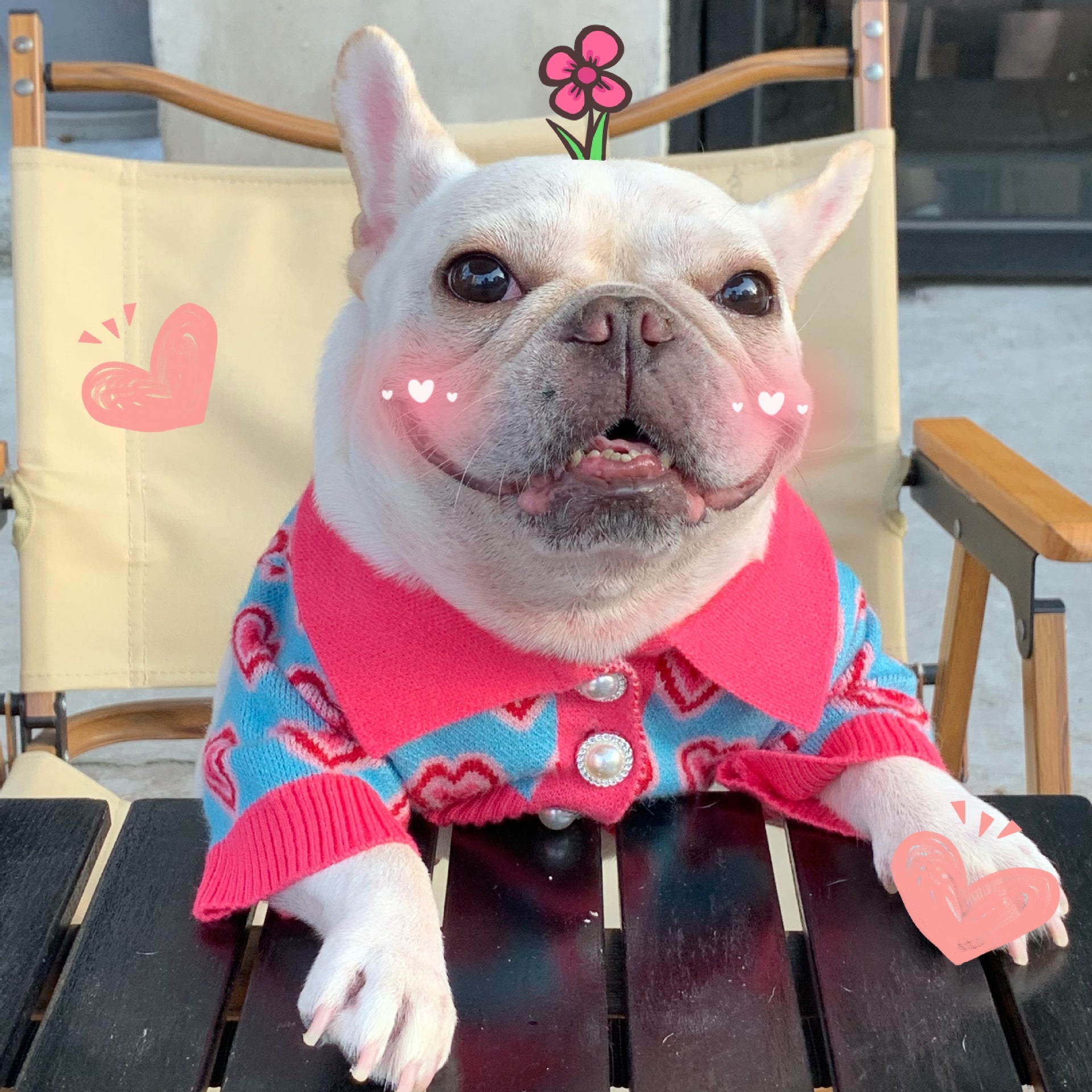 KFX-2701501 Trendy Wool Dog Sweater for Cats and Dogs - Glitter Design, Multiple Sizes Available