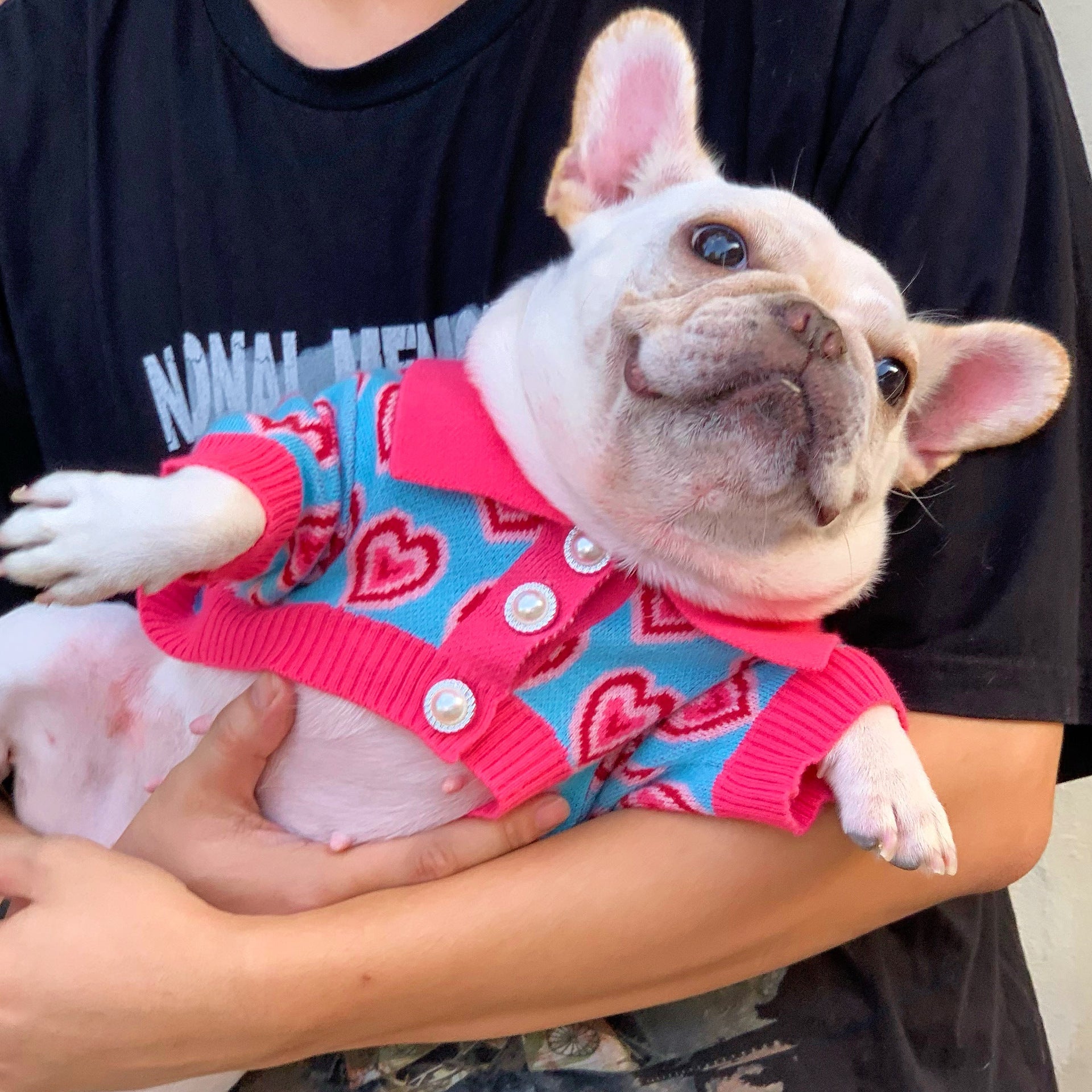 KFX-2701501 Trendy Wool Dog Sweater for Cats and Dogs - Glitter Design, Multiple Sizes Available
