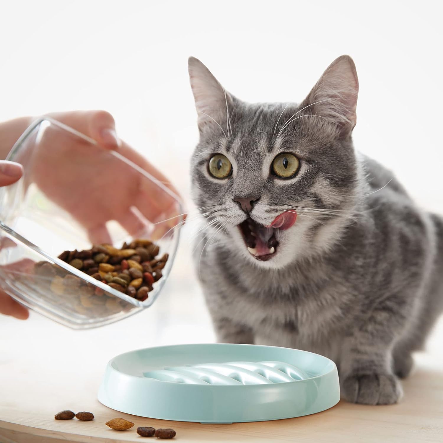KFX-2703677 Fishbone Slow Feeder Bowl for Cats and Dogs – Anti-Gulping Interactive Pet Dish