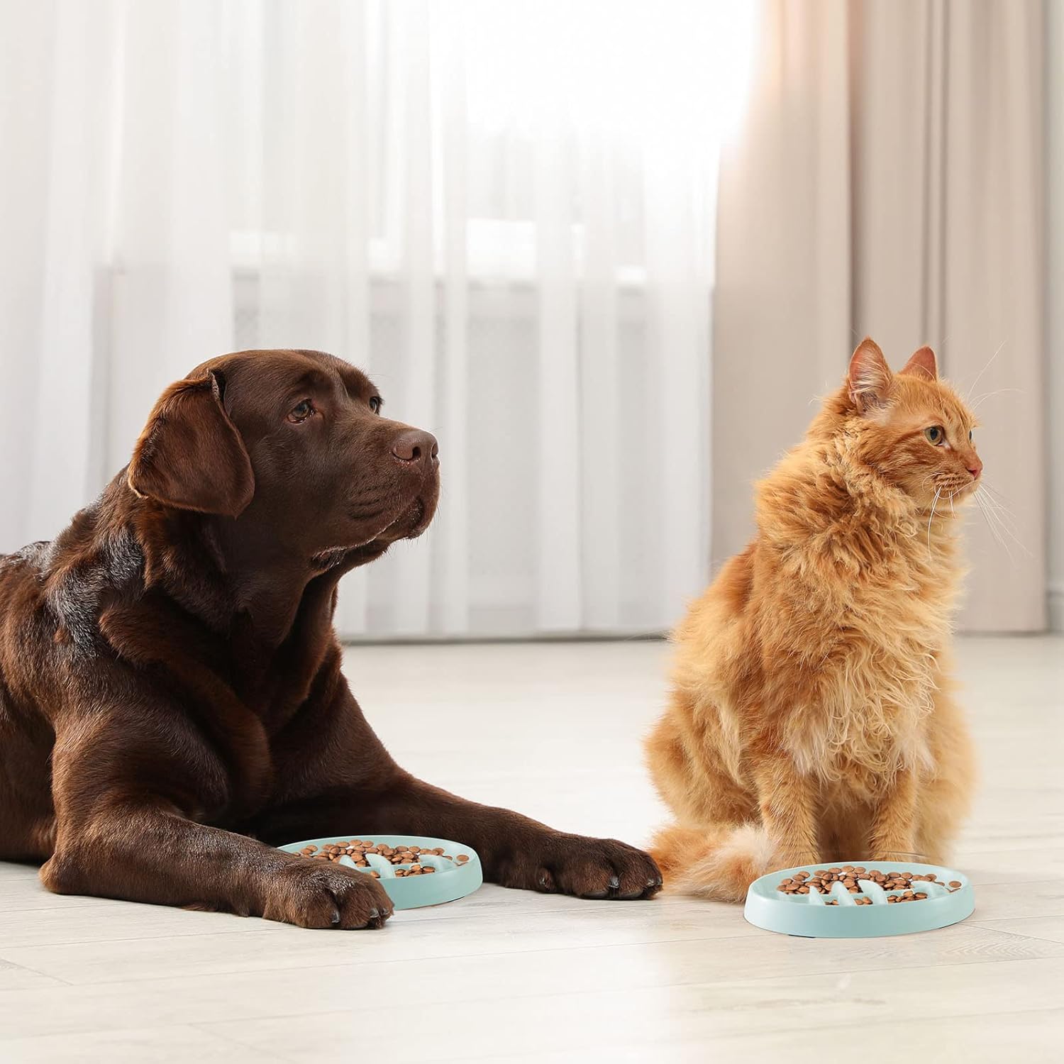 KFX-2703677 Fishbone Slow Feeder Bowl for Cats and Dogs – Anti-Gulping Interactive Pet Dish