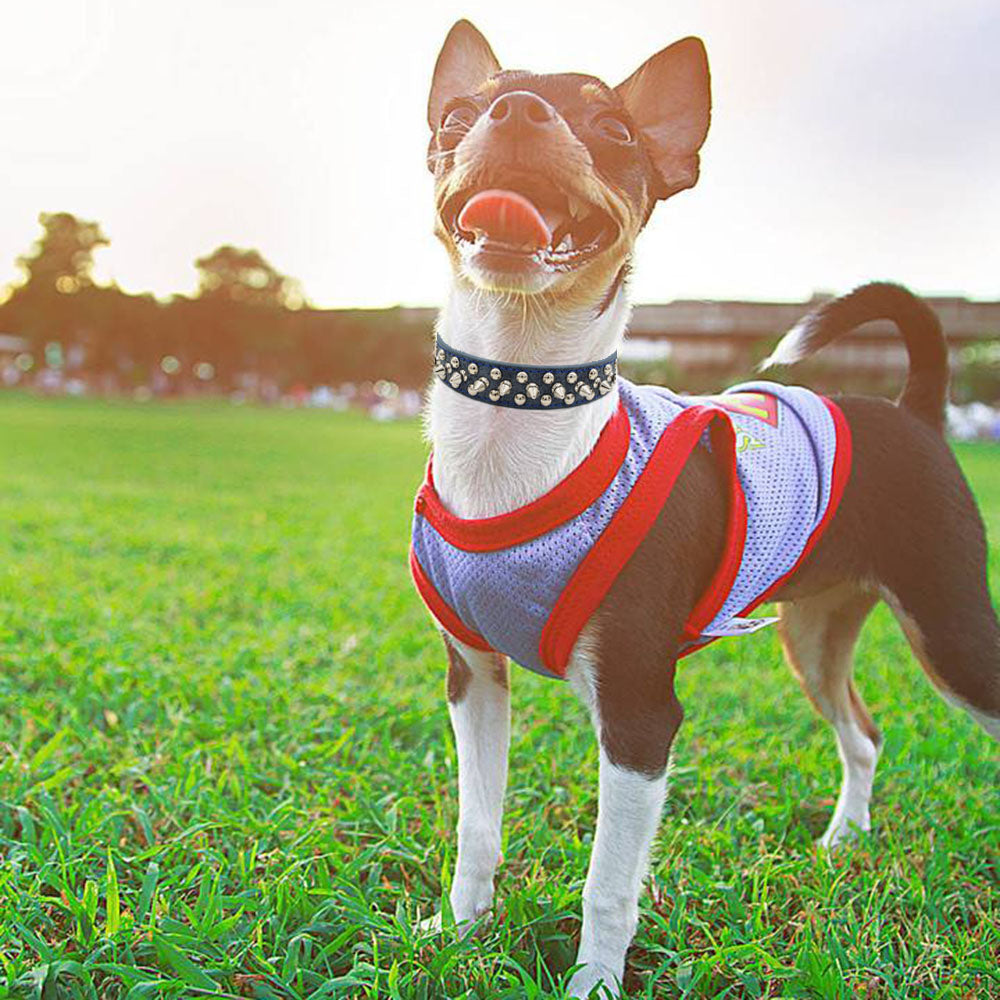 KFX-2705469 Rivet Adjustable PU Pet Collar - Multiple Sizes for Comfort and Fit