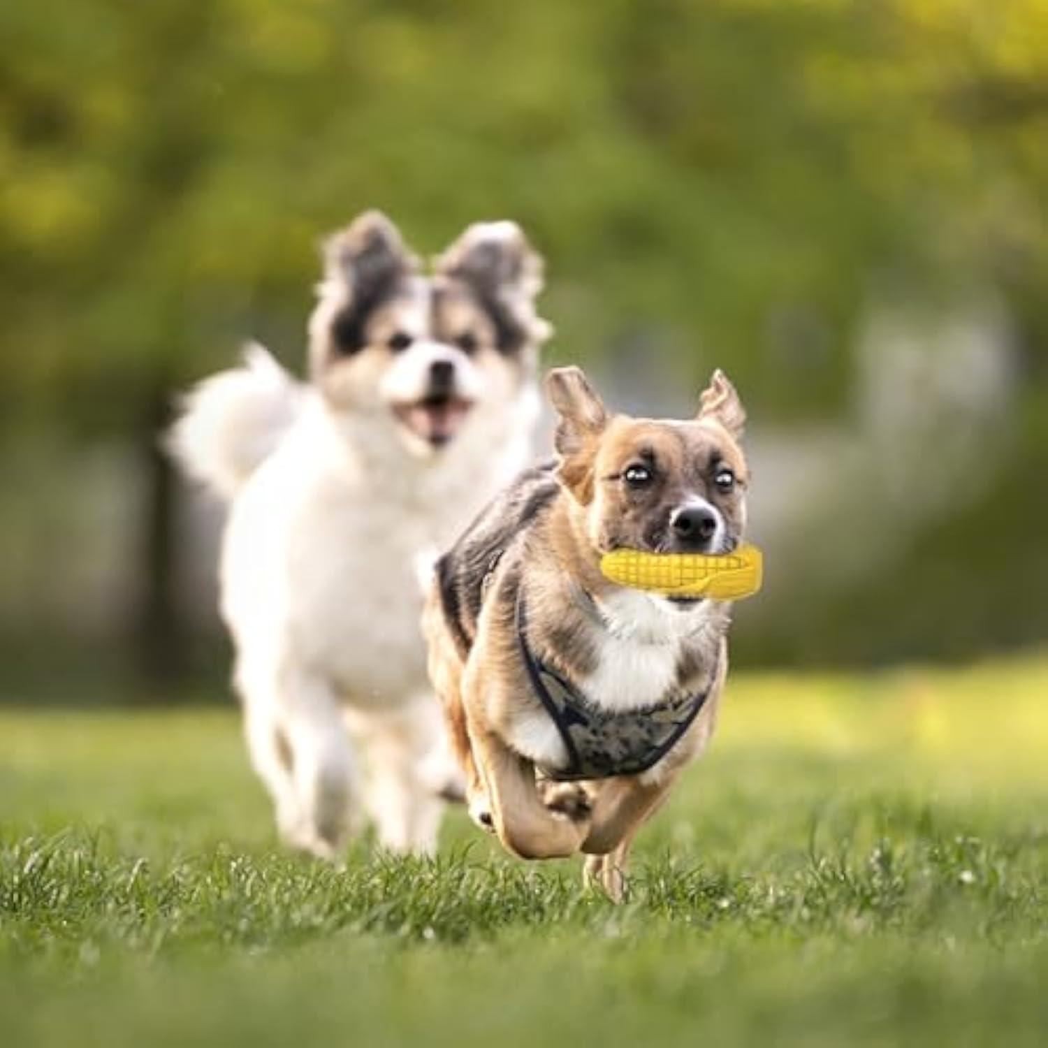 KFX-2710717 Durable Squeaky Dog Chew Toy for Aggressive Chewers - Interactive Corn Stick Design for Medium and Large Breeds