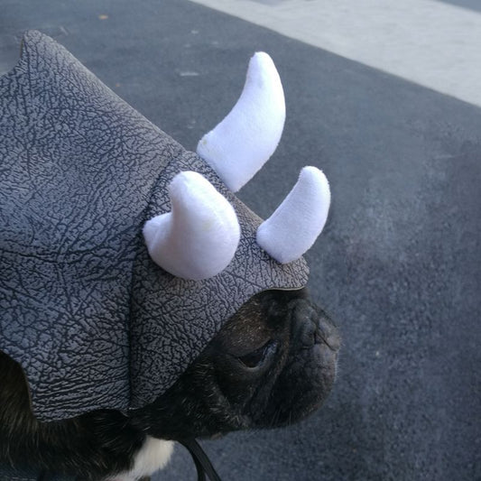 KFX-2714045 Triceratops Pet Hat - Fun Dinosaur Costume for Dogs and Cats, One Size Fits All