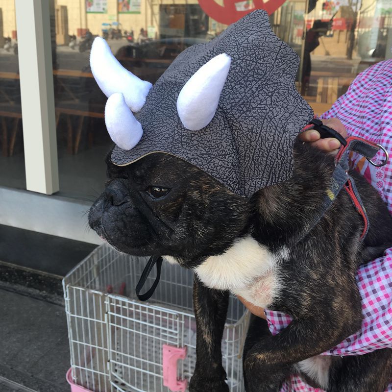 KFX-2714045 Triceratops Pet Hat - Fun Dinosaur Costume for Dogs and Cats, One Size Fits All