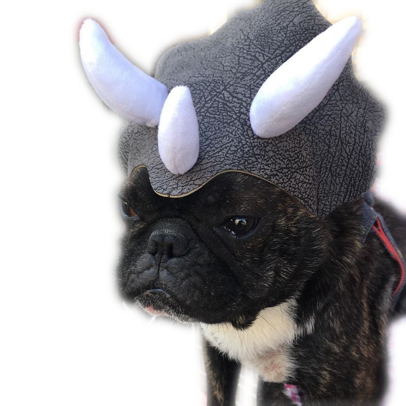 KFX-2714045 Triceratops Pet Hat - Fun Dinosaur Costume for Dogs and Cats, One Size Fits All