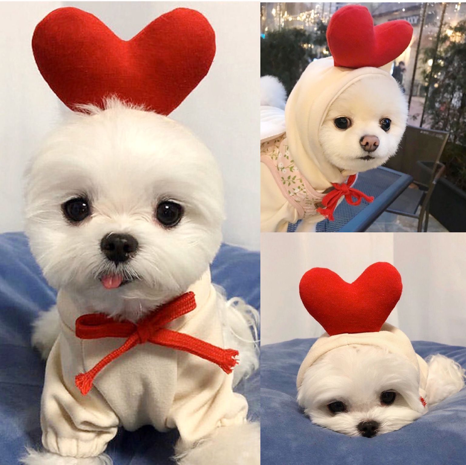 KFX-2714301 Apricot Hooded Cartoon Pet Sweater - Cotton, Available in XS to 2XL