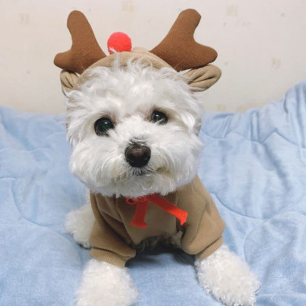 KFX-2714301 Apricot Hooded Cartoon Pet Sweater - Cotton, Available in XS to 2XL