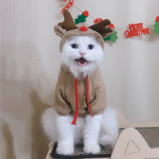 KFX-2714301 Apricot Hooded Cartoon Pet Sweater - Cotton, Available in XS to 2XL