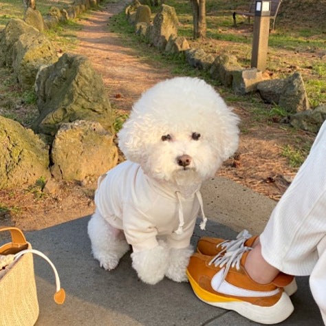 KFX-2720061 Cozy Cotton Dog Sweater in Multiple Colors for Year-Round Warmth