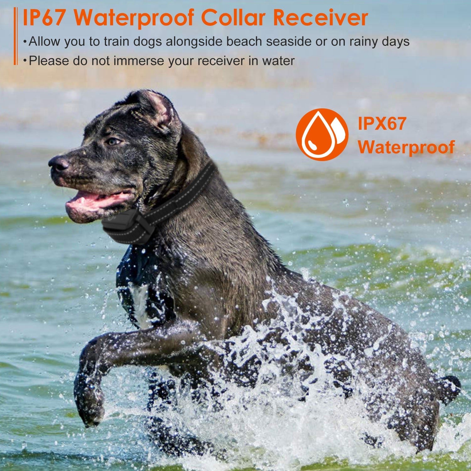 KFX-2720445 Rechargeable Dog Training Collar with Beep, Vibration, and Shock Modes, IP67 Waterproof, 3280FT Range, 3 Channels