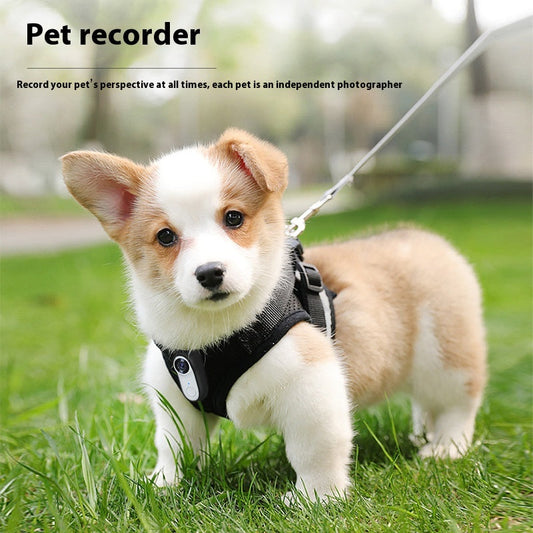 KFX-2729789 Mini HD Pet Thumb Camera with Magnetic Design, 1080P Video Recording, and Photo Capture