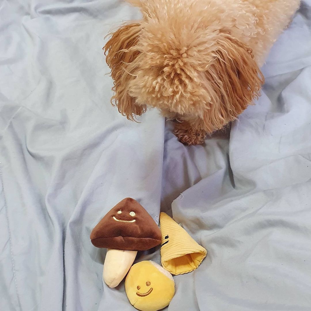 KFX-2730173 Tibetan Mushroom Plush Dog Vocal Toy Set - Simple and Stylish Design