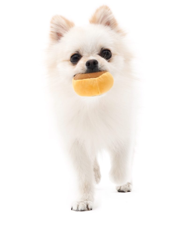 KFX-2730173 Tibetan Mushroom Plush Dog Vocal Toy Set - Simple and Stylish Design