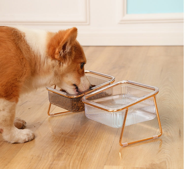 KFX-2730685 Elevated Transparent Cat Bowl with Neck Guard - Single and Double Options Available