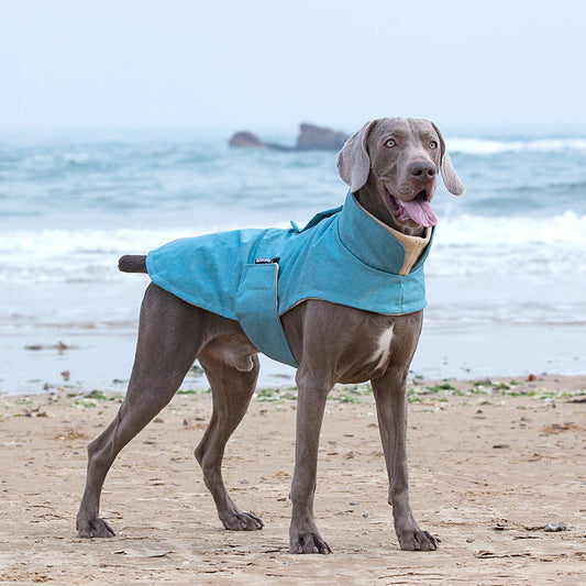 KFX-2731069 Warm and Stain-Resistant Dog Vest for Medium to Large Dogs - Available in Rose Red, Light Blue, and Gray