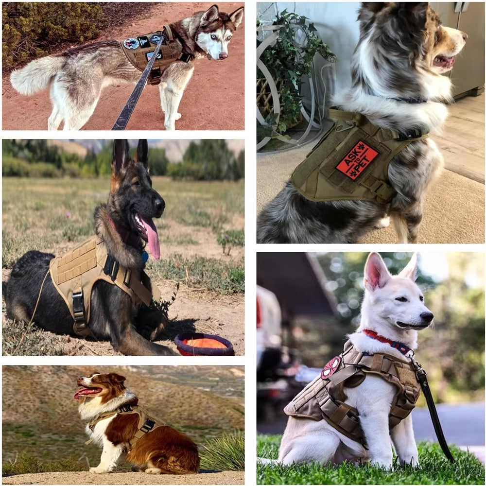 KFX-2735549 Tactical Camouflage Dog Harness and 1000D Nylon Leash Set for Training and Walking