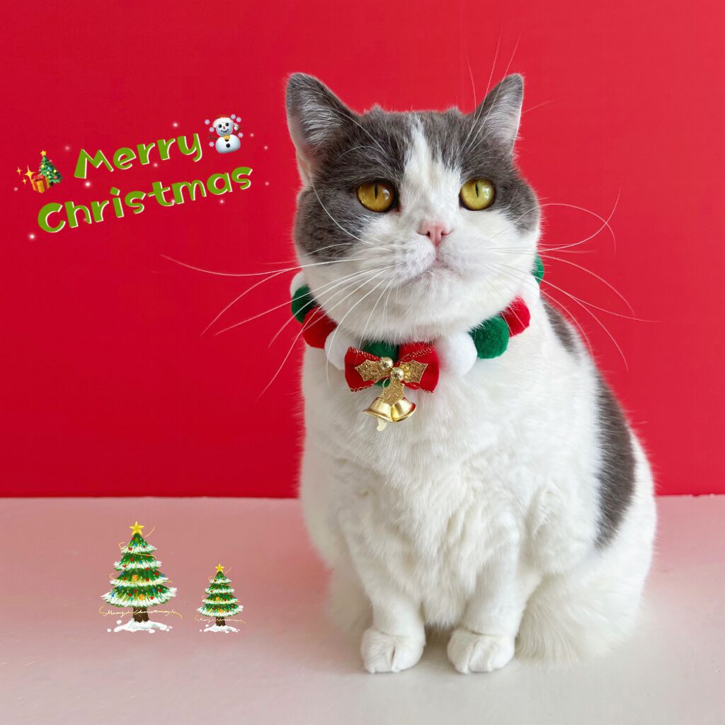 KFX-2738237 Festive Plush Ball Christmas Collar for Dogs and Cats with Soft Elasticity and Bow