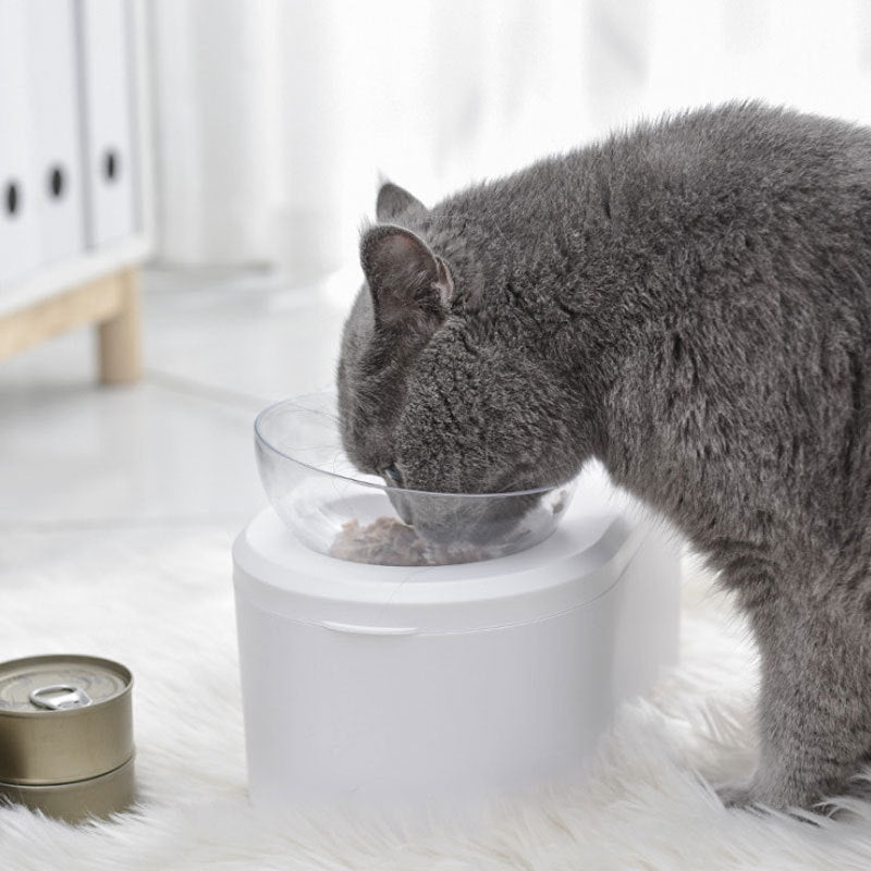 KFX-2742205 Transparent Double Bowl Pet Feeding Station - Oblique Mouth Design, White Resin