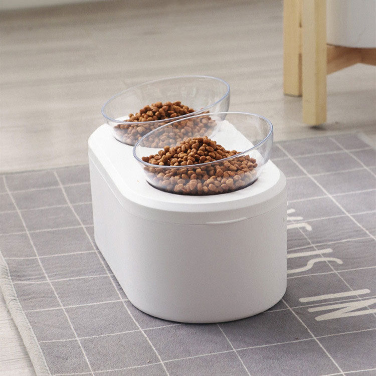 KFX-2742205 Transparent Double Bowl Pet Feeding Station - Oblique Mouth Design, White Resin