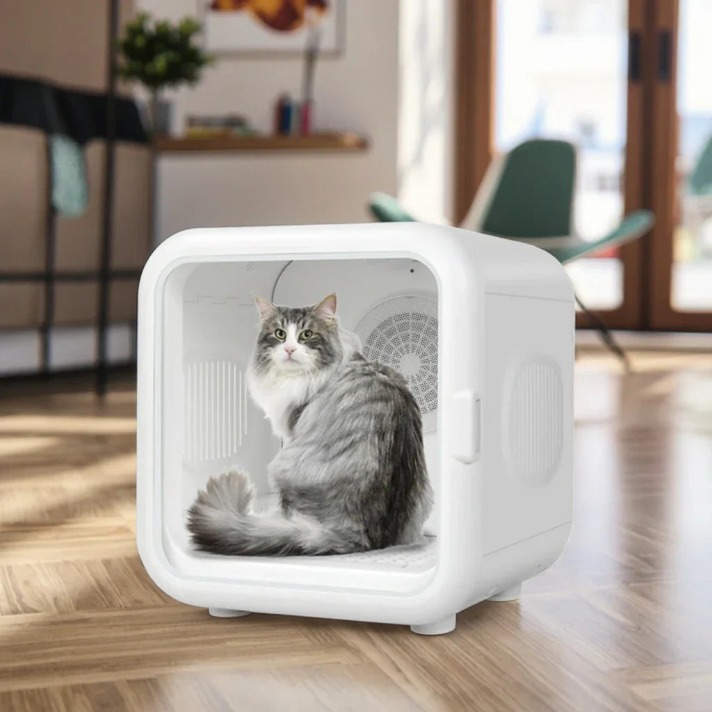 KFX-274707 Eco-Friendly Automatic Pet Hair Dryer for Cats and Dogs - Ultra Quiet with Temperature Control