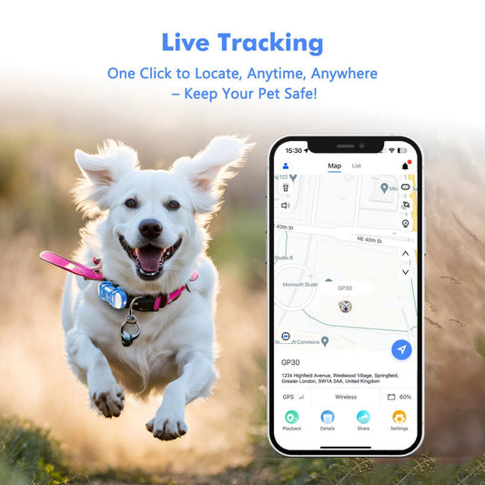 KFX-2749757 Waterproof Real-Time Pet Positioning Tracker with Lithium Battery
