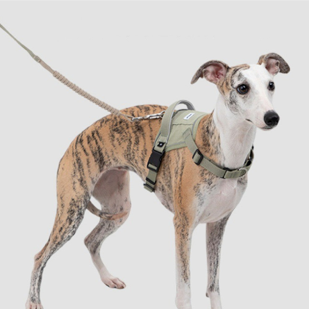 KFX-2756797 Fashionable Pet Vest with Adjustable Chest and Back Leash, Available in Multiple Colors