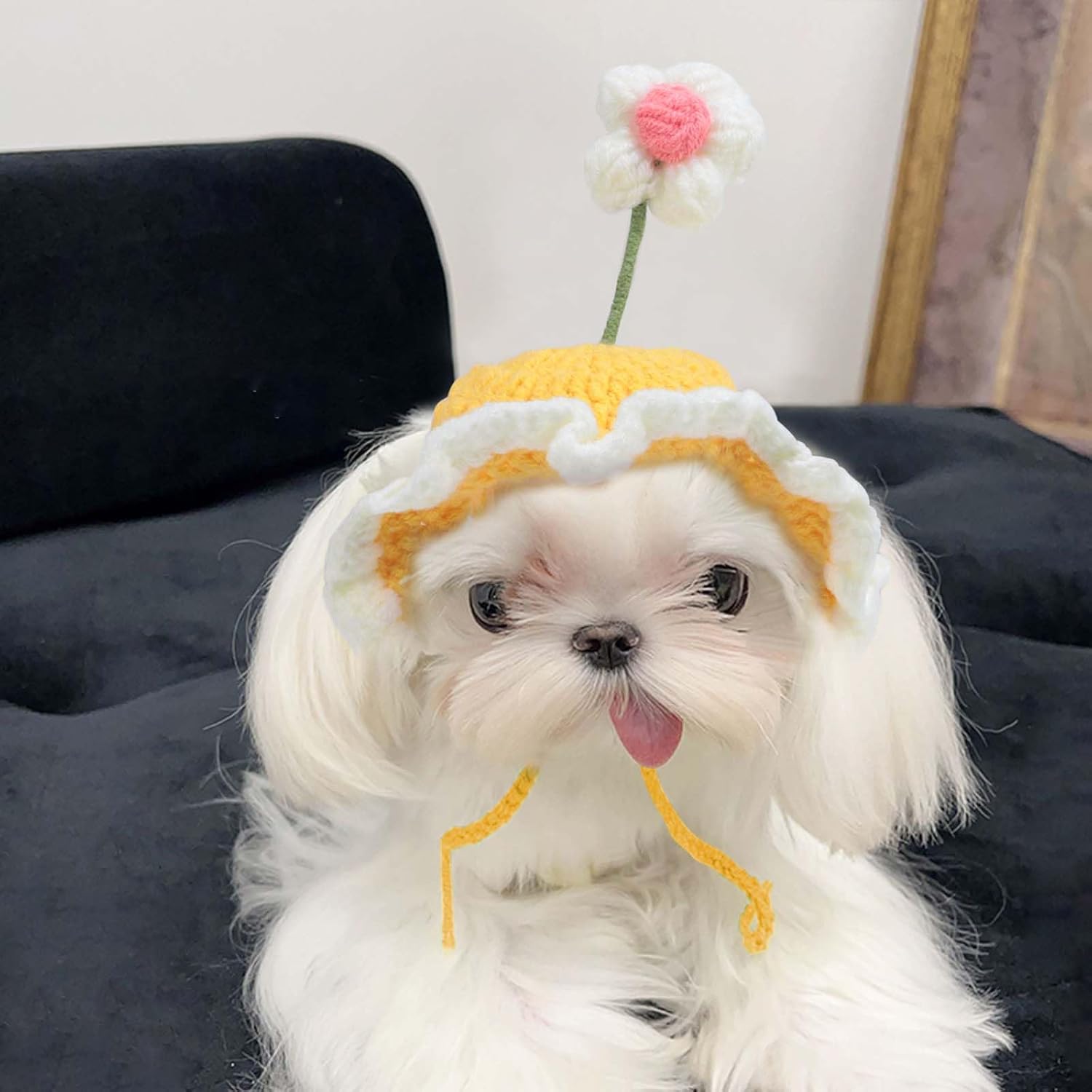 KFX-2760765 Knit Cat and Dog Hats with Cute Cartoon Design for Small Pets - Warm Costume Accessories